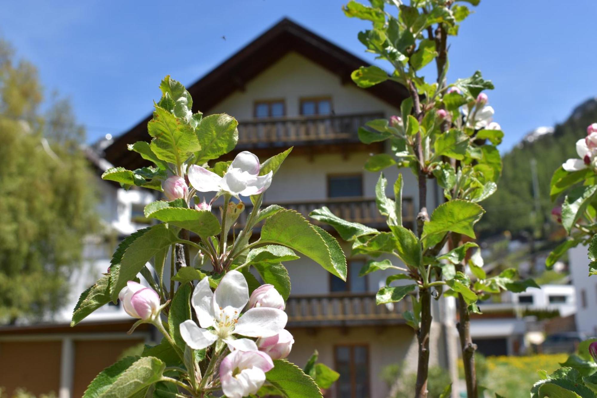 Hirschstube Nauders Bed & Breakfast Luaran gambar